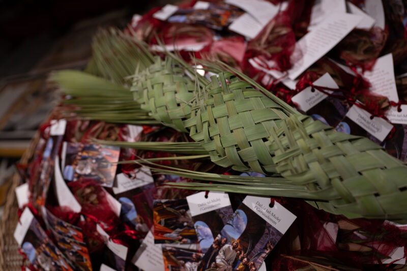 Hadd il-Palm Palm Sunda