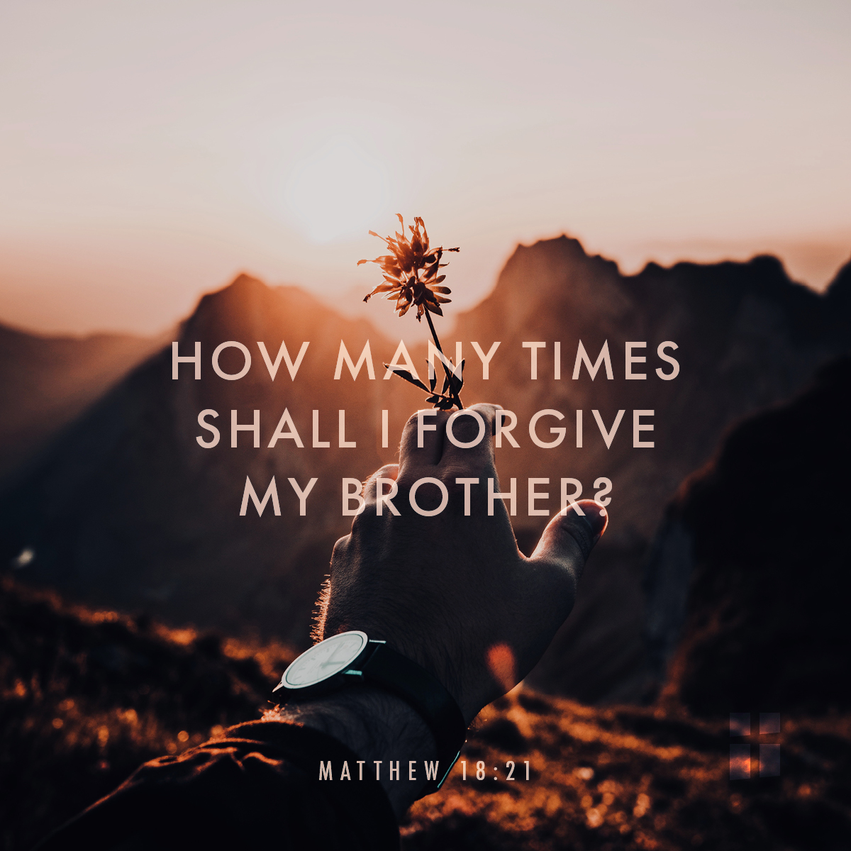 The Gospel of the day: 16th August – Archdiocese of Malta