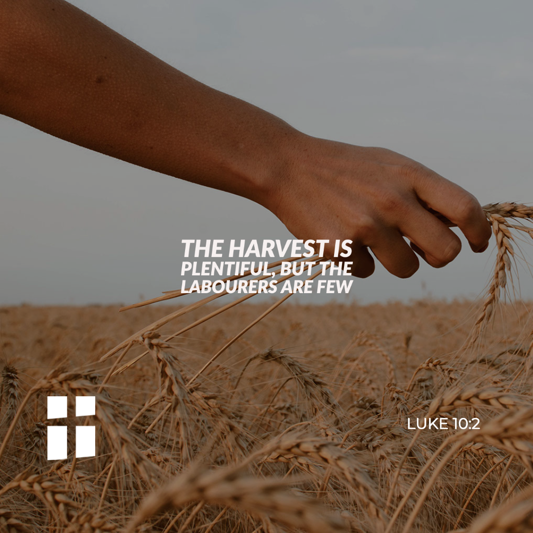 The Gospel of the day: 18th October – Archdiocese of Malta