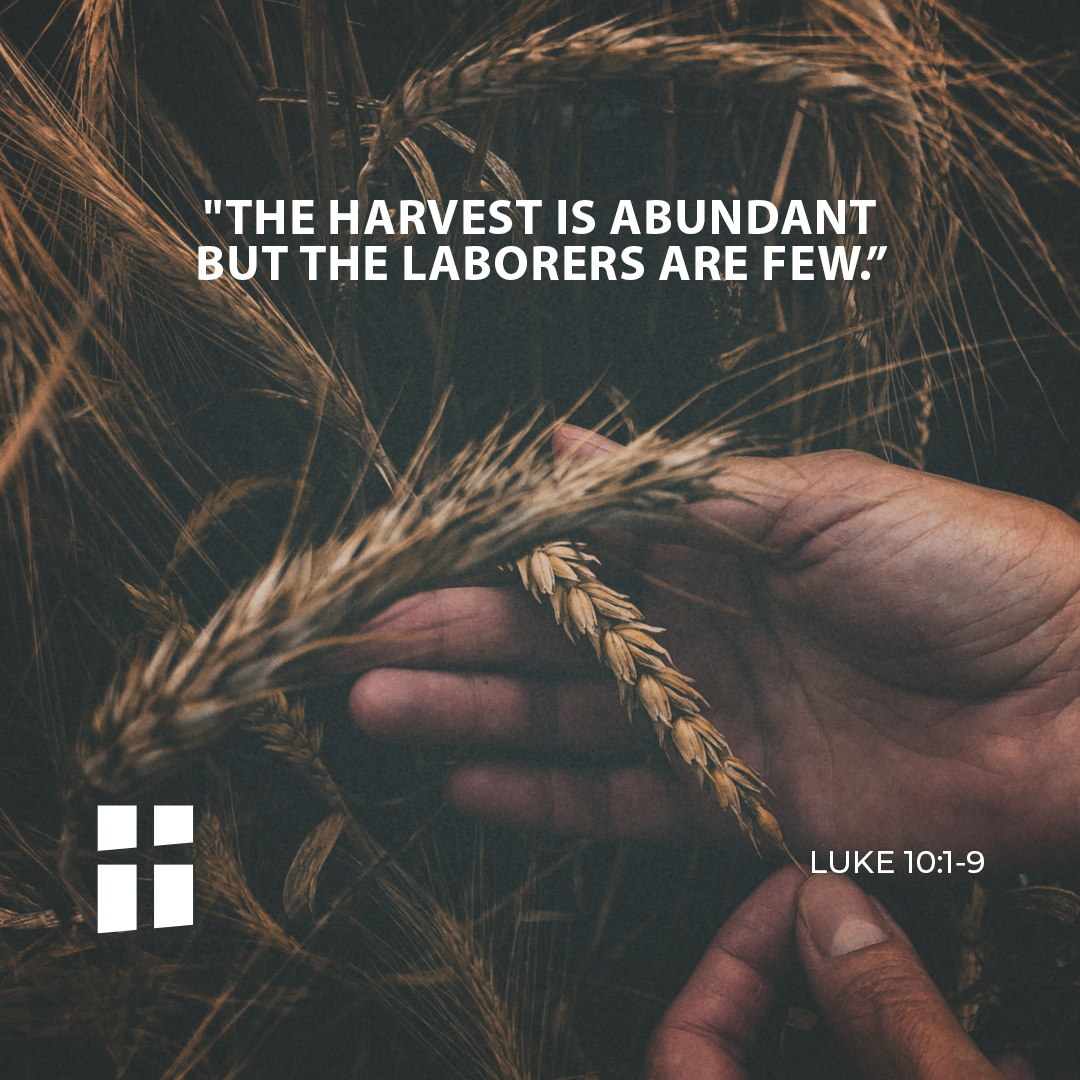 The Gospel of the day: 18th October – Archdiocese of Malta