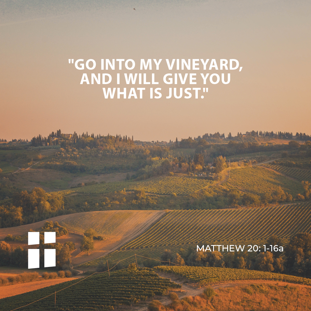 The Gospel of the day: 23rd August – Archdiocese of Malta