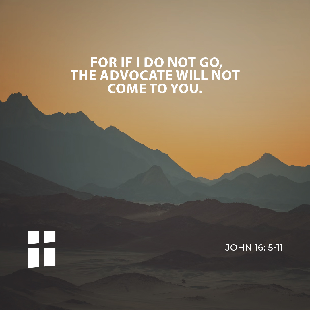 The Gospel of the day: 7th May – Archdiocese of Malta