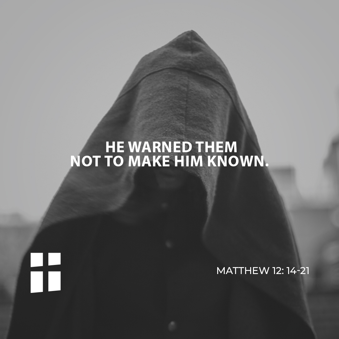 The Gospel of the day: 20th July – Archdiocese of Malta