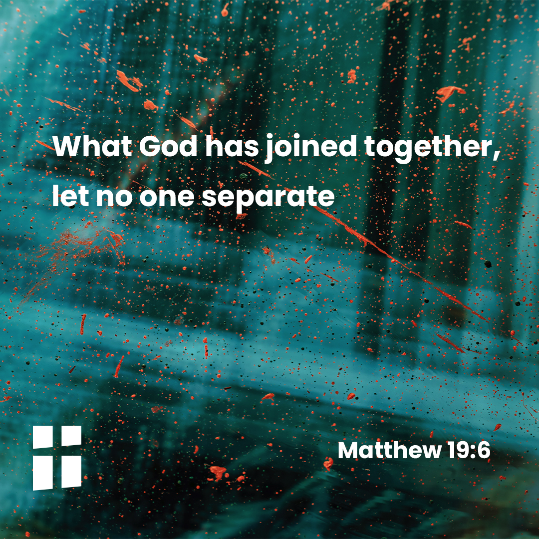The Gospel of the day: 16th August – Arċidjoċesi ta' Malta