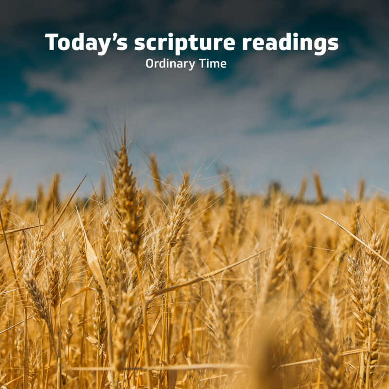 The Gospel of the day: 22nd January – Archdiocese of Malta